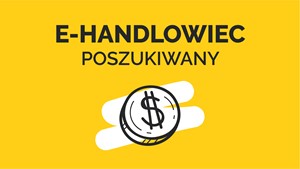 E-Handlowiec (B2B Account manager)