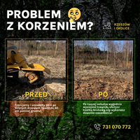 Frezowanie pni usuwanie korzeni 