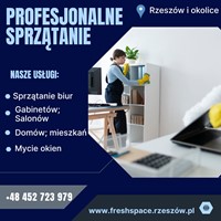 Profesjonalne sprzątanie