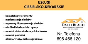 Usługi Dekarskie